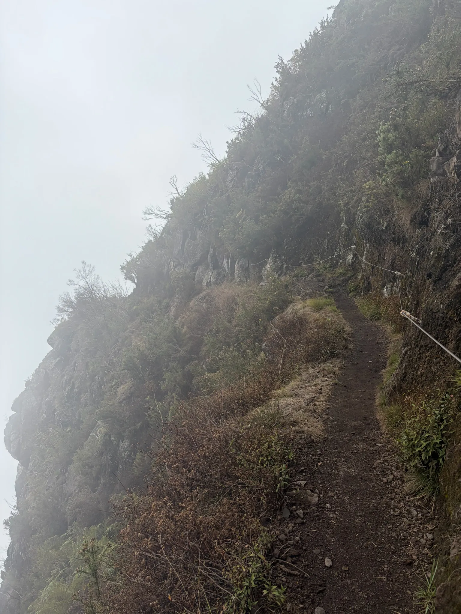 Descente du Maïdo vers Mafate sous la brume