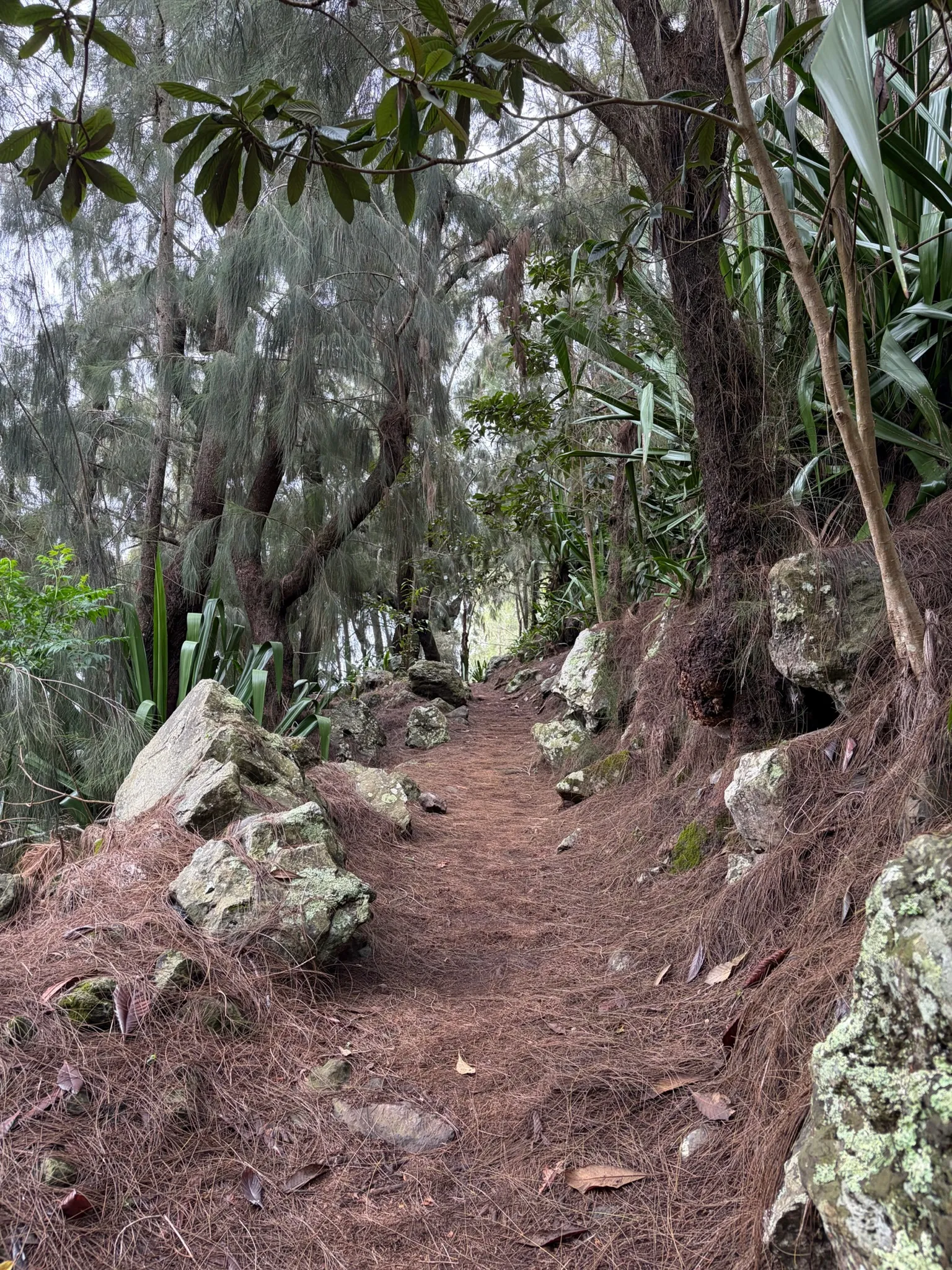 Sentier dans Mafate