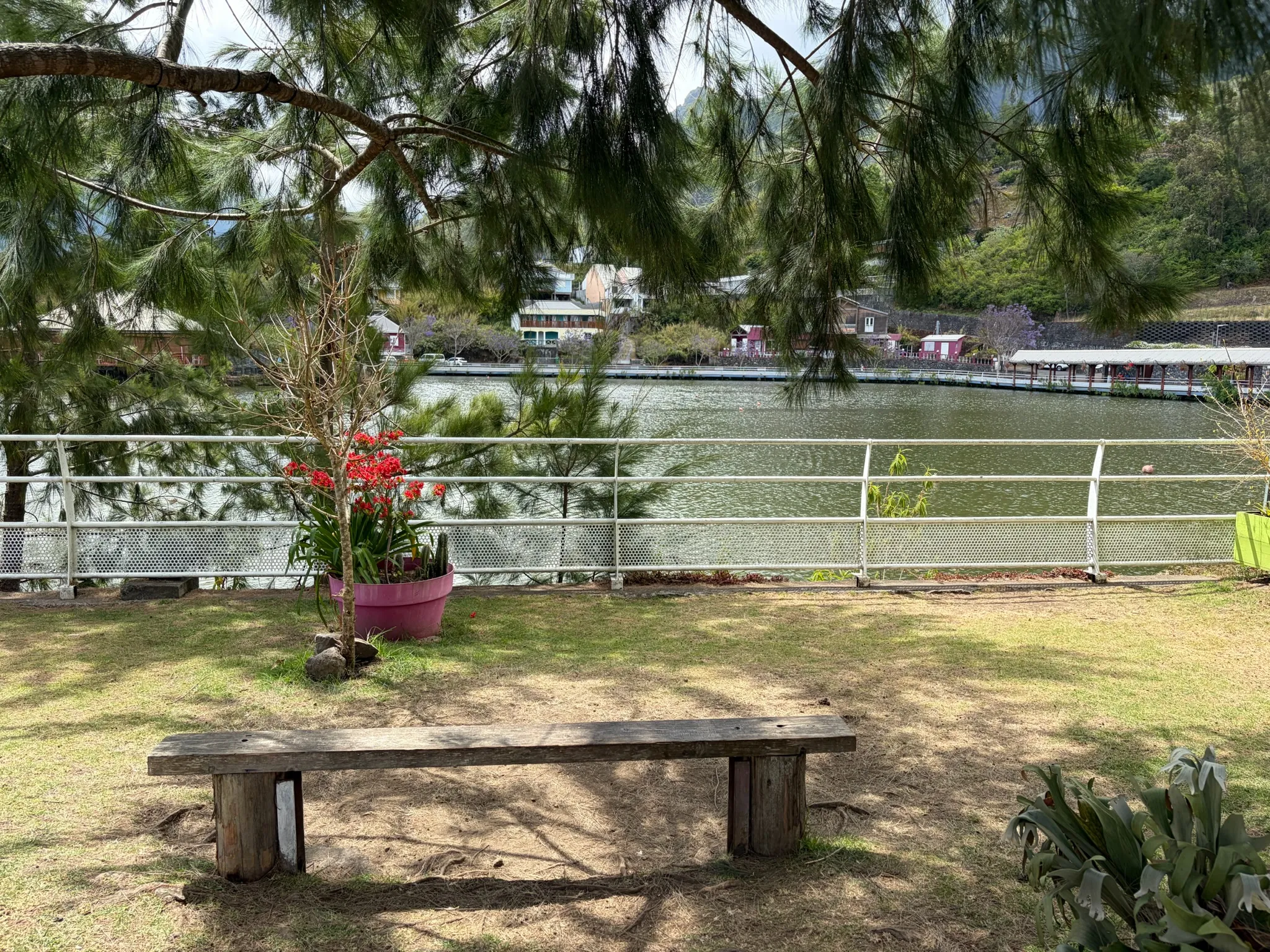Banc face au lac sous les filaos
