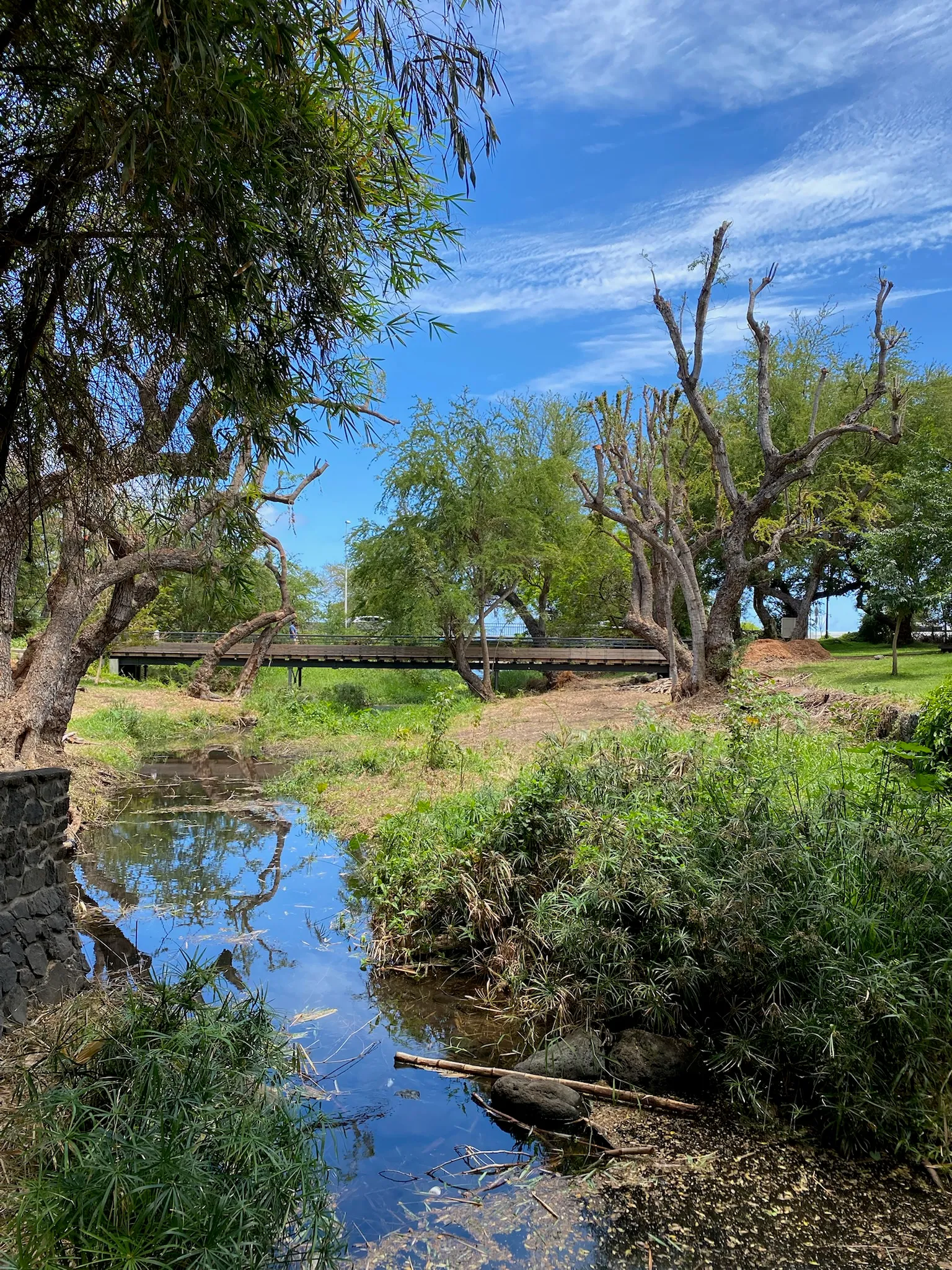 Rivière et pont dans un parc